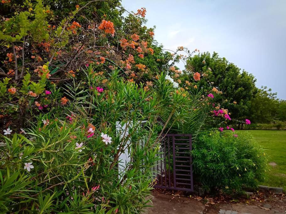 Mamta'S Home- Kensville Nānodra Dış mekan fotoğraf