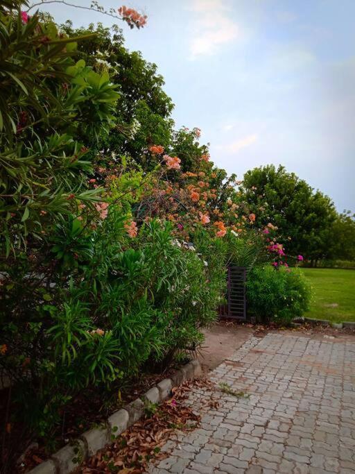 Mamta'S Home- Kensville Nānodra Dış mekan fotoğraf