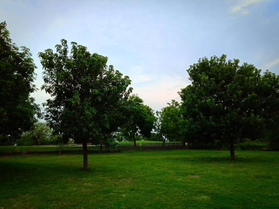 Mamta'S Home- Kensville Nānodra Dış mekan fotoğraf