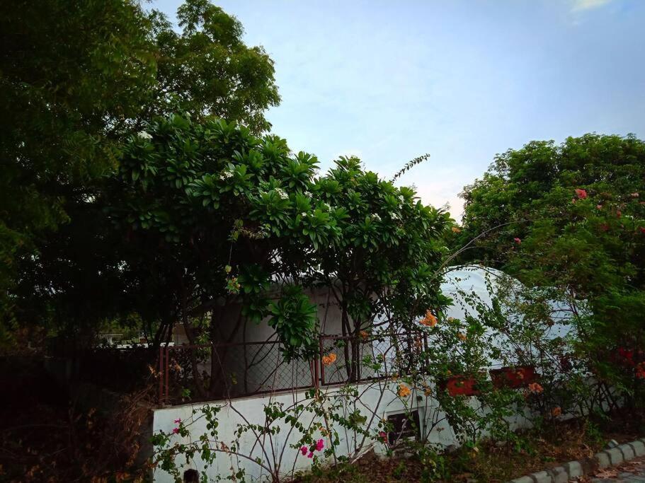 Mamta'S Home- Kensville Nānodra Dış mekan fotoğraf
