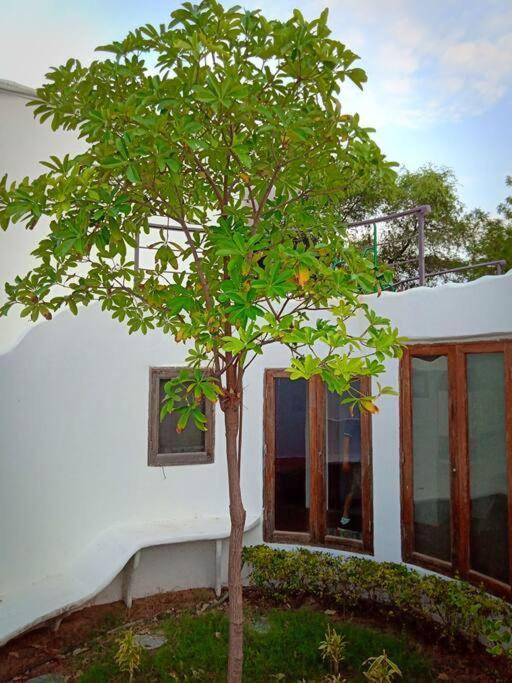 Mamta'S Home- Kensville Nānodra Dış mekan fotoğraf