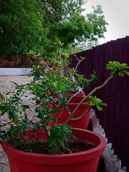 Mamta'S Home- Kensville Nānodra Dış mekan fotoğraf