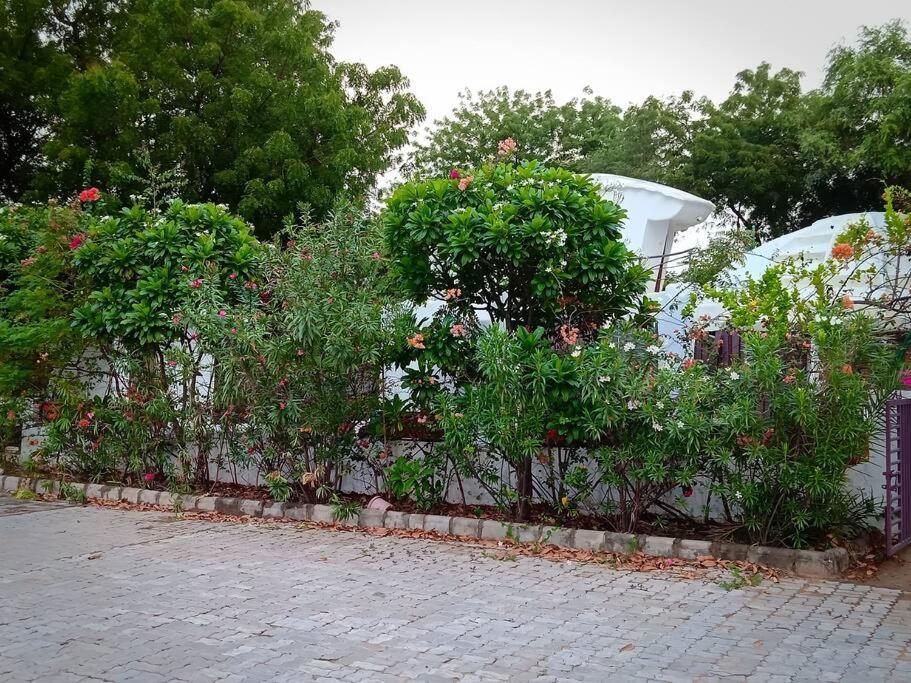 Mamta'S Home- Kensville Nānodra Dış mekan fotoğraf